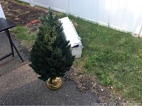 Full view of the 42 inch artificial Christmas tree standing outside on pavement next to grass and a white fence.