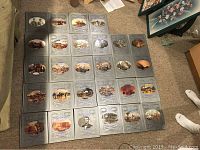 28 volumes of Civil War books laid out on the carpet showing front covers with gray embossed designs and oval illustrations related to Civil War events and figures.