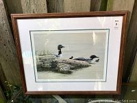 Framed print with loons on water, rocks, and grass visible, wooden frame