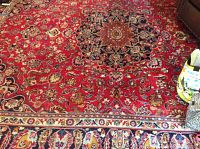 Central field with floral motifs and partial fringe visible