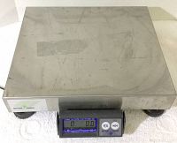 Full view of the stainless steel platform and the front of the digital display and control panel showing the scale brand.