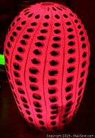 Lamp shade illuminated with a red light showing vertical rows of oval cut-outs that create a vibrant pattern.