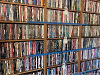 Shelves filled with DVDs showing a large collection of movie titles across three wooden shelves with numerous DVDs arranged vertically.