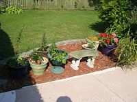 Wide view showing concrete bench and six planters with plants arranged on mulch against garden edging and grass lawn.