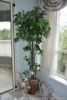 Full view of tall faux ficus tree by window, displaying greenery and basket base, with flower arrangement placed nearby