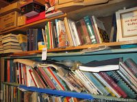 Bookshelves full of various books including thick hardbound and some softbound books with visible titles and spines in multiple colors such as green, blue, brown, red, and tan.