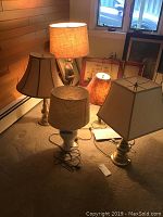 Five table lamps on carpeted floor near wood-paneled wall and window, different bases and lampshades