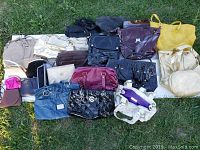 Photo showing 25 assorted ladies handbags arranged on ground outdoors with visible variety in color and style.