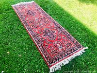 Top-down view of the entire carpet runner laid on grass showing overall design and field color