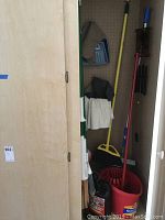 Cleaning tools including brooms, mops, mop bucket, dustpan, bug spray, and other cleaning supplies in small closet.