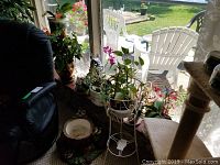 Indoor plants including a variety of potted plants in ceramic planters with raccoon design, placed on the bay window sill. White metal plant stand with circular holders is visible. Light from outside brightens the scene.