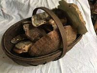 A vintage woven garden basket containing several large dried fungi of various shapes and sizes placed on a light-colored cloth.