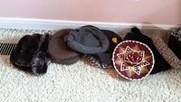 Overview photo showing all six hats arranged in a row on carpet, highlighting variety of styles including faux fur and cloth hats along with a decorative small sombrero.