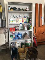Full view of the gray storage cabinet filled with garden sprays, auto supplies, buckets, and a birdhouse.