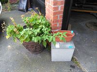 Wide view showing large decorative planter with live plant, small plastic planter pot, and metal milk box near brick wall on pavement.