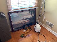 SteamFast clothes steamer positioned near the framed Hawaii poster on a hardwood floor.