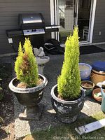 Two large black composite planters each with an evergreen tree inside, placed outdoors with a grill and stone birdbath in the background.
