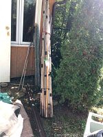 Photo of bamboo sticks bundled and standing upright near a building exterior and greenery.
