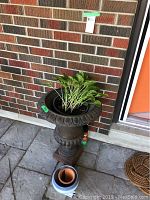 Tall cast iron planter with intricate fluted rim design and green leafy plant placed next to a brick wall with some small pots beneath it.