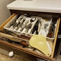 Drawer with assorted stainless steel cutlery including forks, spoons, knives with wooden and other handles, arranged in a white plastic cutlery organizer.