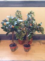 Two silk fruit trees with orange fruit in pots, positioned in front of two metal floral trees against a wall.