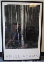Full view of framed Ansel Adams poster featuring a black and white photo of aspen tree trunks.