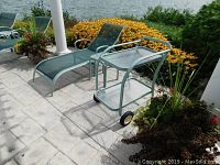 Photo showing an outdoor bar cart next to a lounge chair and a side table on a patio with flowers in the background.