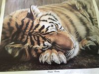 Full image of the tiger print showing the entire sleeping tiger and part of the background with ground texture.