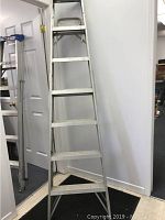 Full view of the aluminum step ladder showing the side frame, steps and top platform.