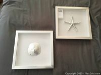 Pair of 13.5x13.5 inch silver shadow box frames on grey surface, one with starfish and one with sand dollar.