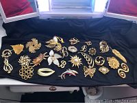 Front view of assorted faux gold-tone costume jewelry pins on black fabric, showing a wide variety of floral, abstract, animal, and monogram styles.