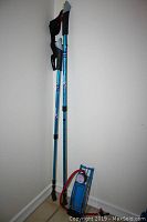 Two blue adjustable aluminum Nordic walking sticks with black handles and wrist straps leaning against the wall with a blue metal foot pump below them on floor.