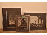 Three framed black and white photos including interior architectural scene, a bear, and a wildlife landscape, all signed George Boggio