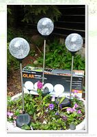 Four Westinghouse solar garden lights with clear crackle glass globes mounted on black stakes placed in garden soil with box