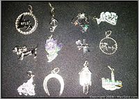 Top-down view of 12 assorted silver charms arranged in black fabric, shows details of inscriptions and colored enamel on some charms.