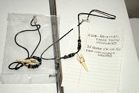 Single artificial shark tooth necklace displayed outside packaging with handwritten sign showing quantity and packaging details.