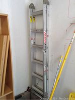 Full view of the Vulcan 12ft extension ladder upright against a wall, showing the entire ladder and its length.