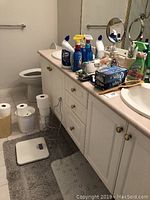 Wide view of bathroom counter and floor showing cleaning bottles, toilet paper rolls, mats, soap, and scale
