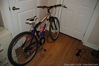 Full side angle of the Raleigh Tarantula women's bicycle showing blue and silver frame, white and black seat, black handlebar grips, and 26-inch knobby tires.