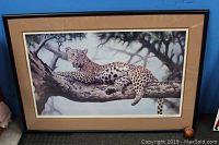 Framed print of a leopard resting on a tree branch, signed by Jerry Frost, part of a limited edition 62/750, titled 'LEOPARD'