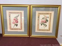 Pair of framed floral prints with gold frames against a plain background.