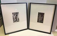 Two framed black and white art prints of trees with white mats and black metal frames, shown standing side by side.