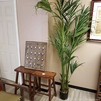Wide shot showing wooden stools under a door-key holder and tall faux plant beside them