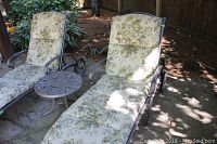 Two recliners and round table on stone patio under tree