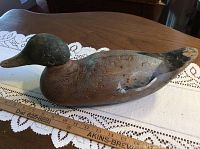 Front left profile of decoy on table with ruler