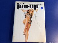 Front cover of the book showing the title 'The Pin-Up', subtitle, and illustrated pin-up model.
