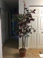 Full view of the artificial Ficus benjamina tree with variegated leaves and pot.