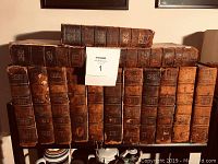 Fourteen leather-bound volumes arranged in two rows on shelf