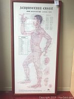 Front of framed acupuncture chart showing body lateral view with meridians and points