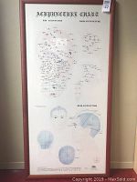 Front view of framed acupuncture chart showing diagrams of ear, hand, and head acupuncture points with clear annotations.